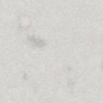 Misty Carrara (4141)
