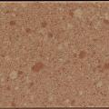 Coral Troya